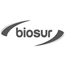Biosur cliente ghesstion