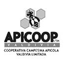 apicoop cliente ghesstion